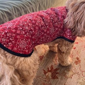 Quilted red bandana print dog coat dog jacket vest cowgirl cowboy western black